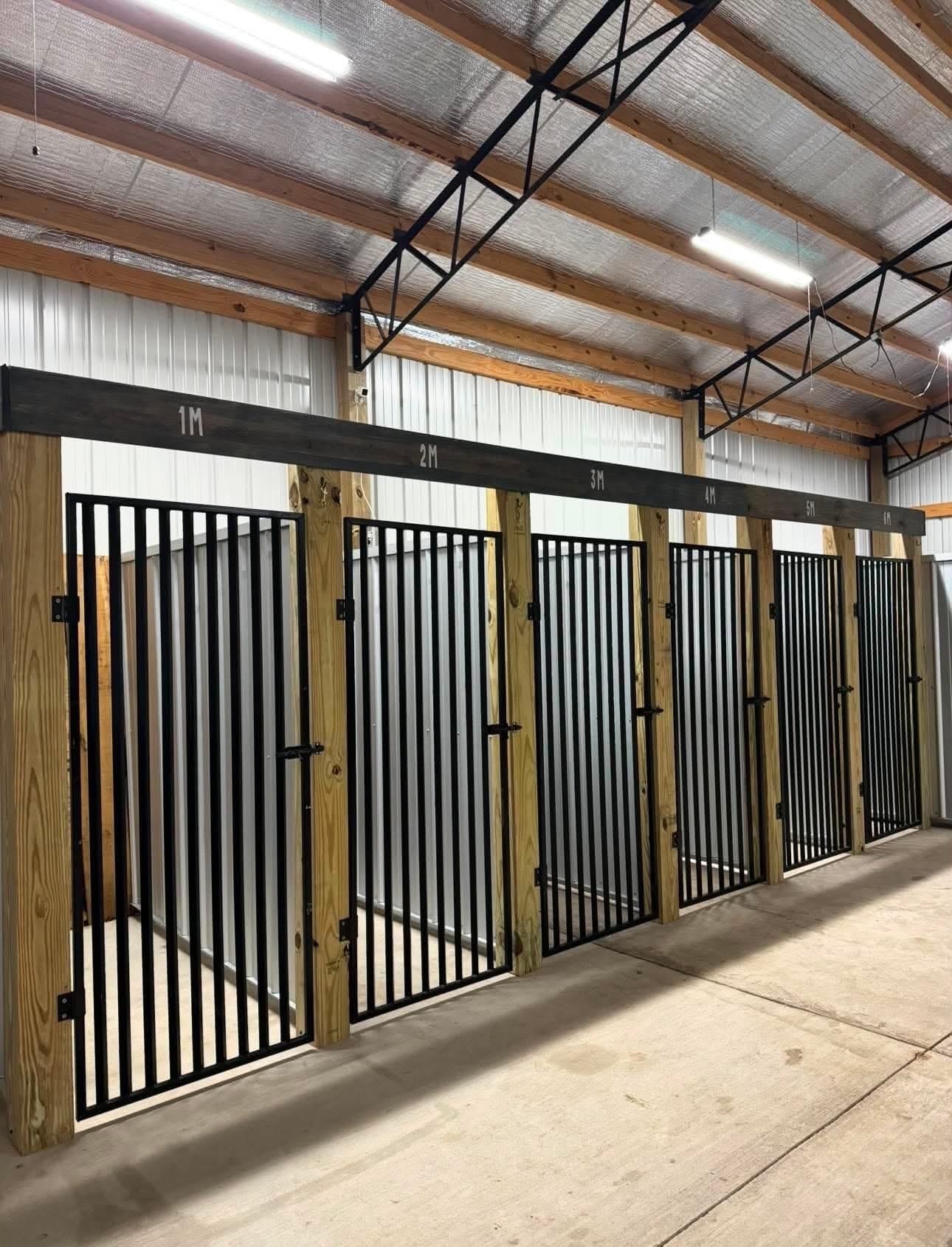 A clean row of six black-gated kennel runs beneath the barn's wood rafters and metal trusses.